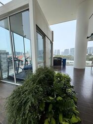 Haig 162 (D15), Apartment #628378361